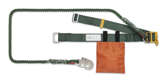 Economic Safety Belt