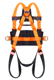 Full Body Harness with Eco Belt