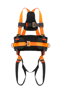 Full Body Harness with Eco Belt