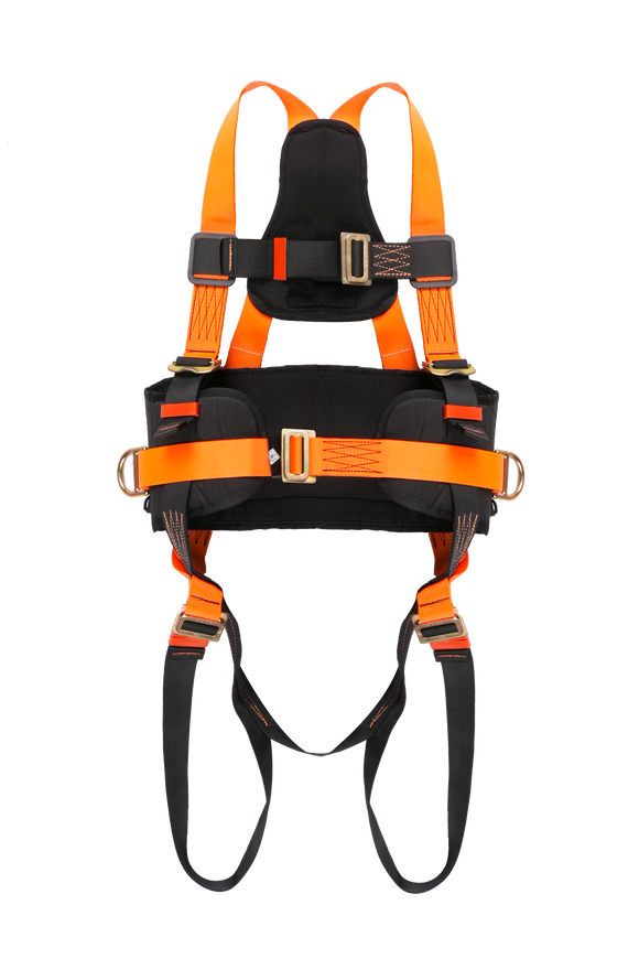 Full Body Harness with Eco Belt