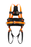 Full Body Harness with Eco Belt