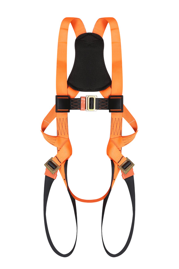 Full Body Harness