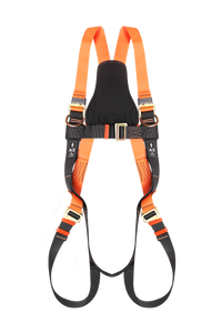 Full Body Harness