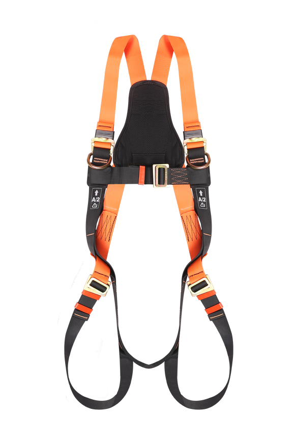 Full Body Harness